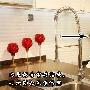 关键词：细节决定品质 抽拉式水管设计，洗菜或者洗水 测评_居家装饰