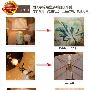 材质评测：高温陶瓷、中温陶土、五金铁架、真丝灯罩评 测评_居家装饰