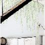 即便是崇尚自然风，也不能真种两棵树在房间中。选择墙 导购_居家装饰