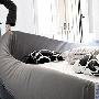 意大利风格卧室创意软床它床身低矮，线条流畅，光是看 导购_居家装饰