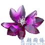 Dilicia, Fuchsia Rain 摆件这是一款完美的桌上装饰。 家品_居家装饰