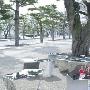 最为特别的是，每个凳子的表面都像镜子一。天地无别的 家品_居家装饰