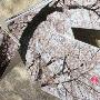 “镜子”中倒映着周围的自然景致。天地无别的日本公园 家品_居家装饰