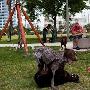 住在那些可俯瞰玛格丽特佩斯公园(Margaret Pace Park 家居_居家装饰