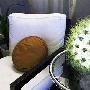 PART D：LED仙人球盆栽灯 (Live Lamp)客厅里摆上能增 家居_居家装饰