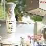 产品推荐：博士不锈钢食品搅拌器夏日烹调清淡的蔬菜色 家居_居家装饰