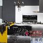 推荐产品二：黑白双雄阳刚之俊美——华帝米兰印象参考 家居_居家装饰