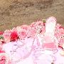 Selina婚鞋首曝光 好姐妹Hebe及Ella送红包 （5 ／10张 明星_娱乐报道