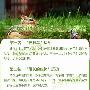 请问有谁能告诉我如何有效减小腹（肚腩）和减肥？
