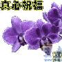 请教：春夏养阳，秋冬养阴