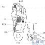 怎样能长高5cm，那个给个靠谱点的方法？