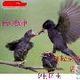 乡村医生的养老问题