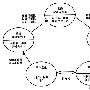 项目管理系列之-团队管理