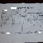 睾酮过高，请专家帮我分析