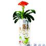 我的头发为什么长得很快？