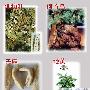 霸王防脱洗发水有哪些中药成分？