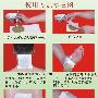 腰椎间盘突出了要注意些什么？怎么治疗？