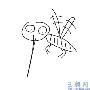 我为什么易被蚊子咬，和血型有关吗？