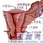 附件炎应该怎么治疗啊？