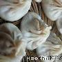 小笼包子、三鲜馄饨[图]－风味小吃