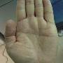 关于掌纹－这个掌纹如何？