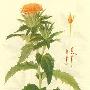 月经期间情绪不稳定受不了啦