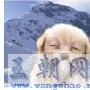 一个人怀旧好不好，有啥影响吗