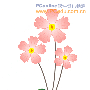 CorelDRAW 12绘束小花送给她
