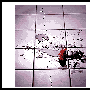 Fireworks制作相片撕裂效果