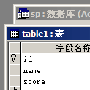 在 Access 中使用“存储过程”