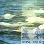 白鲸 动物世界