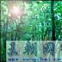 慈利杜仲(图)