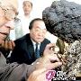 价值2800万灵芝奇石展出