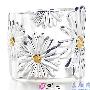 蒂梵尼(Tiffany)时尚精美银饰(23)