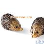 精美华丽 gumps时尚家居水晶装饰品(3)