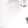 伯爵(PIAGET)珠宝系列欣赏(22)