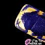 古埃及神秘饰品(6)