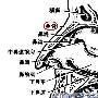 鼻梁的结构是什么的？
