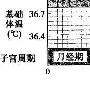 我的排卵期是几号?