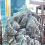 天工神韵 精品奇石欣赏(148)