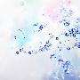 水晶的光芒(40)