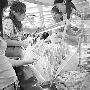 追踪SK-II事件 科学看待化妆品