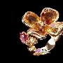 CHANEL完美个性 经典款式珠宝(9)