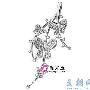 钻之韵精美饰品欣赏(2)
