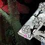 梵克雅宝精品系列仙境之梦幻（2）