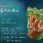 富御翡翠 惊艳之美(105)