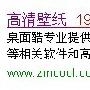 曾育文：关于IIS管理器301重定向那些事儿