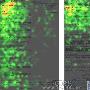 SEOmoz最新SEO行为研究 – Eye Tracking
