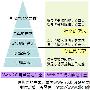 Web2.0再思考:关系才是重点