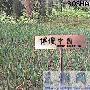 网站推广要定位目标用户群